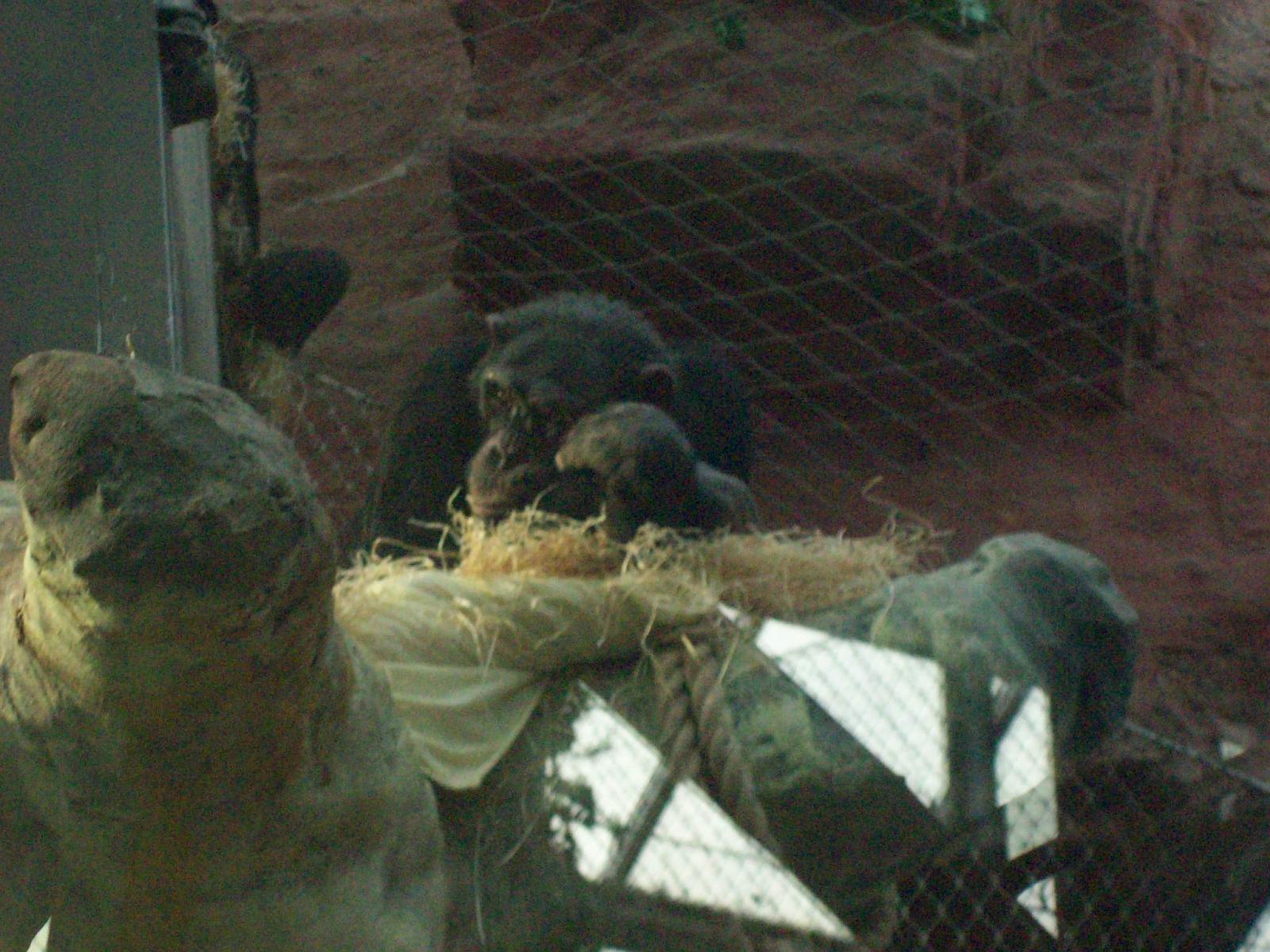 Zoom 18.10.2008-202.jpg